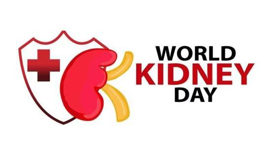 世界腎病日 北京佑安醫(yī)院健康咨詢活動(dòng)與軟件開(kāi)發(fā)在醫(yī)療中的創(chuàng)新應(yīng)用